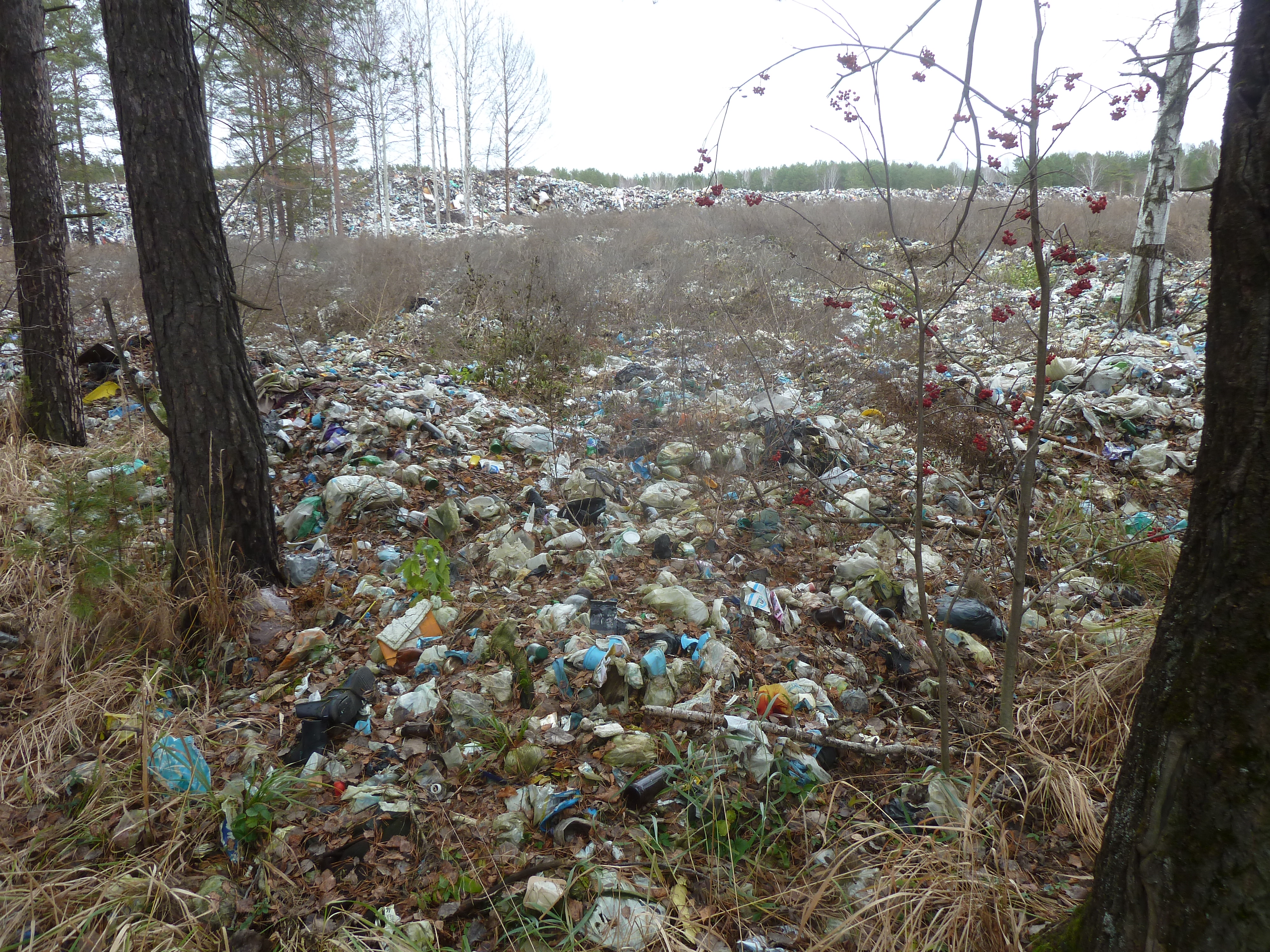 Буланашская свалка: к пользователям есть претензии 