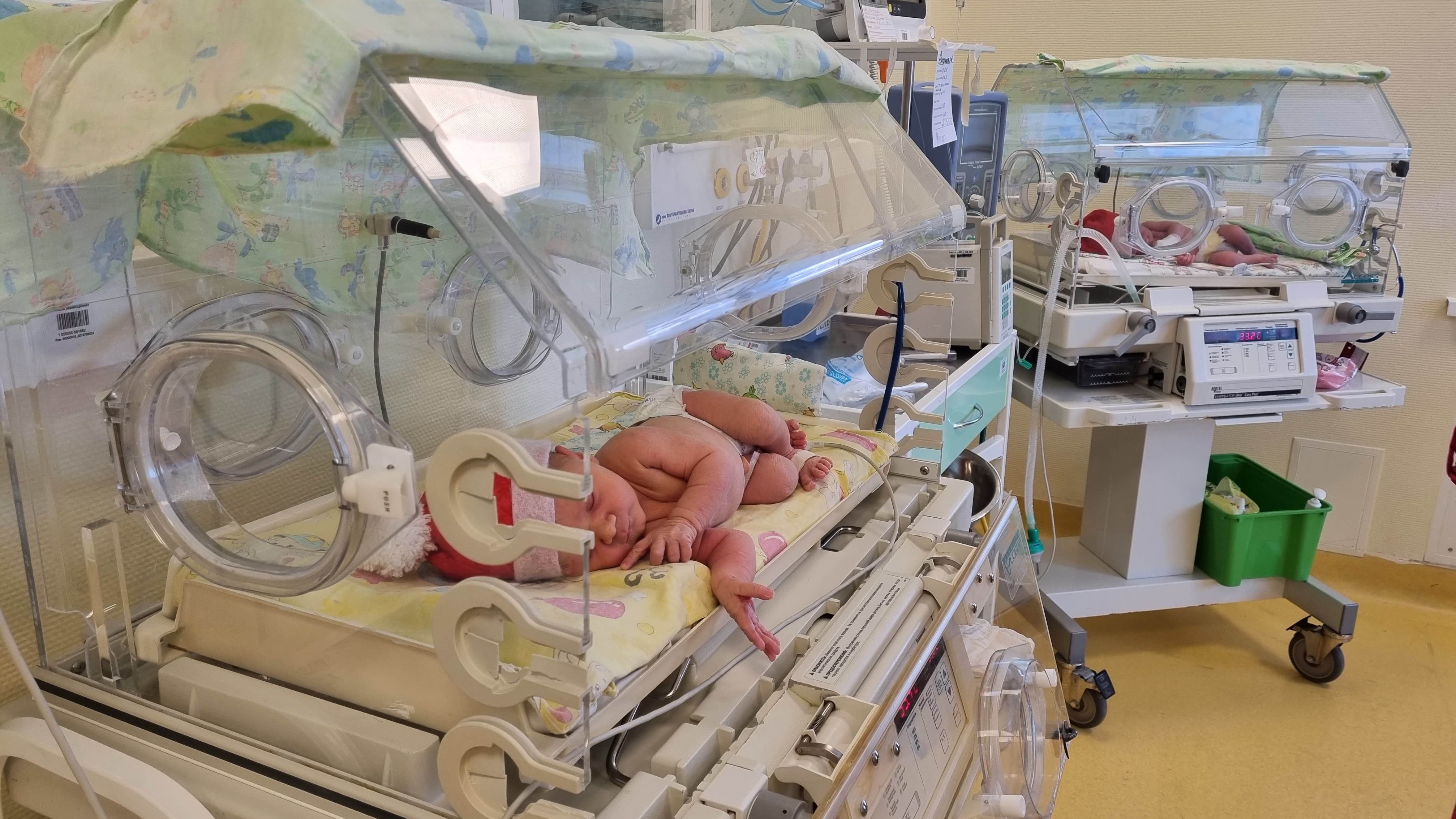  Среди «праздничных» детишек три девочки и четыре мальчика