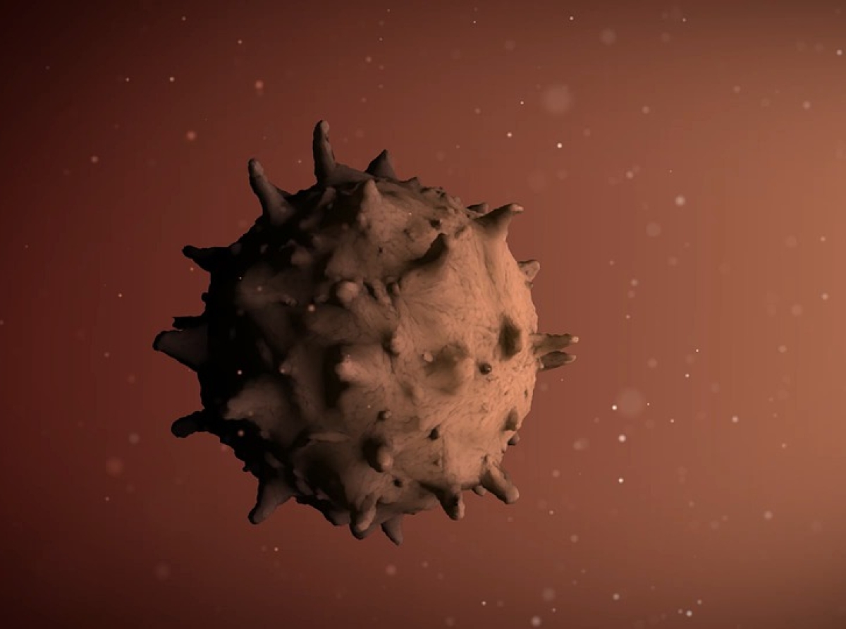 Изучите информацию в памятке. В ней - пошаговая инструкция к действию, если вы вдруг заболели