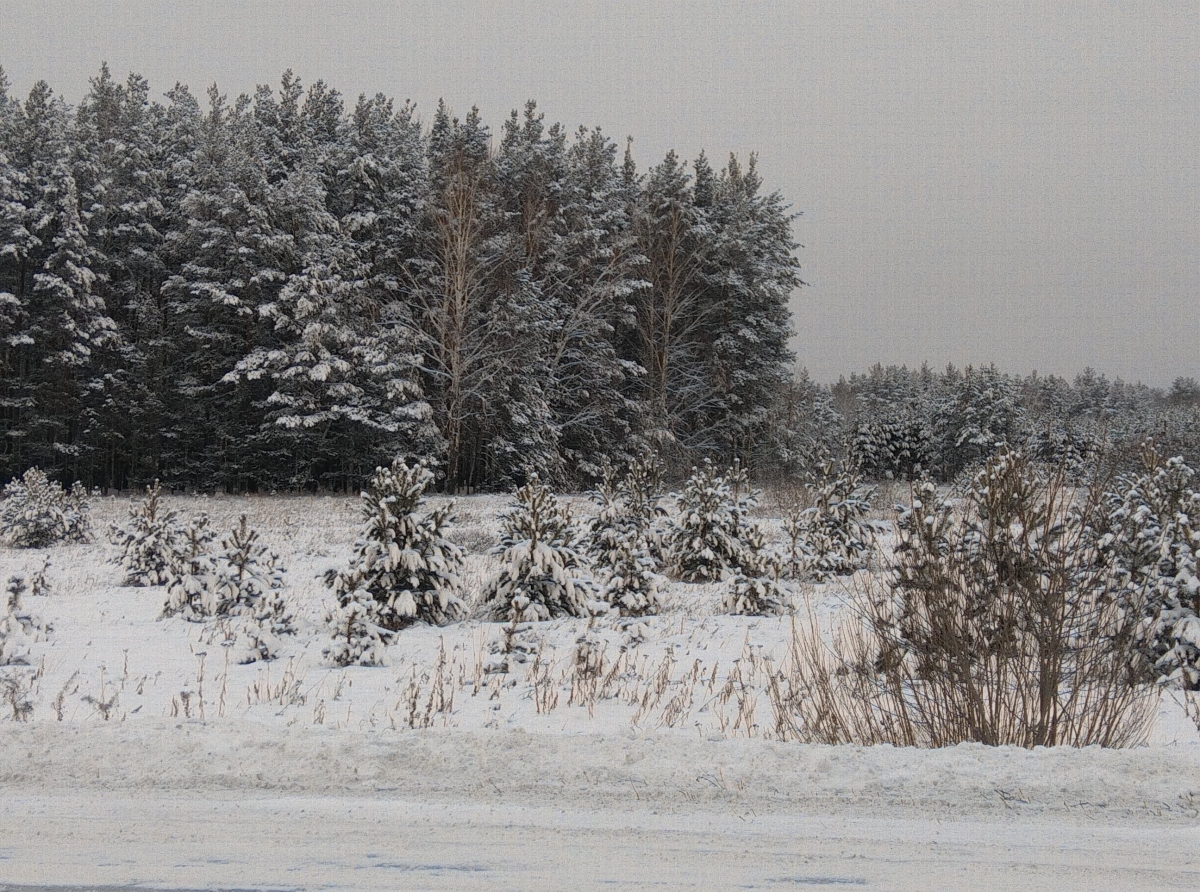 Фото: Василий Ергашев