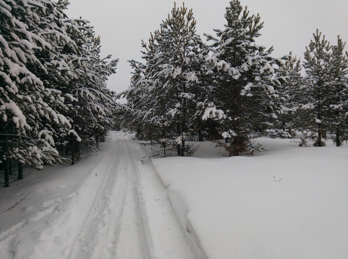 Фото: Василий Ергашев