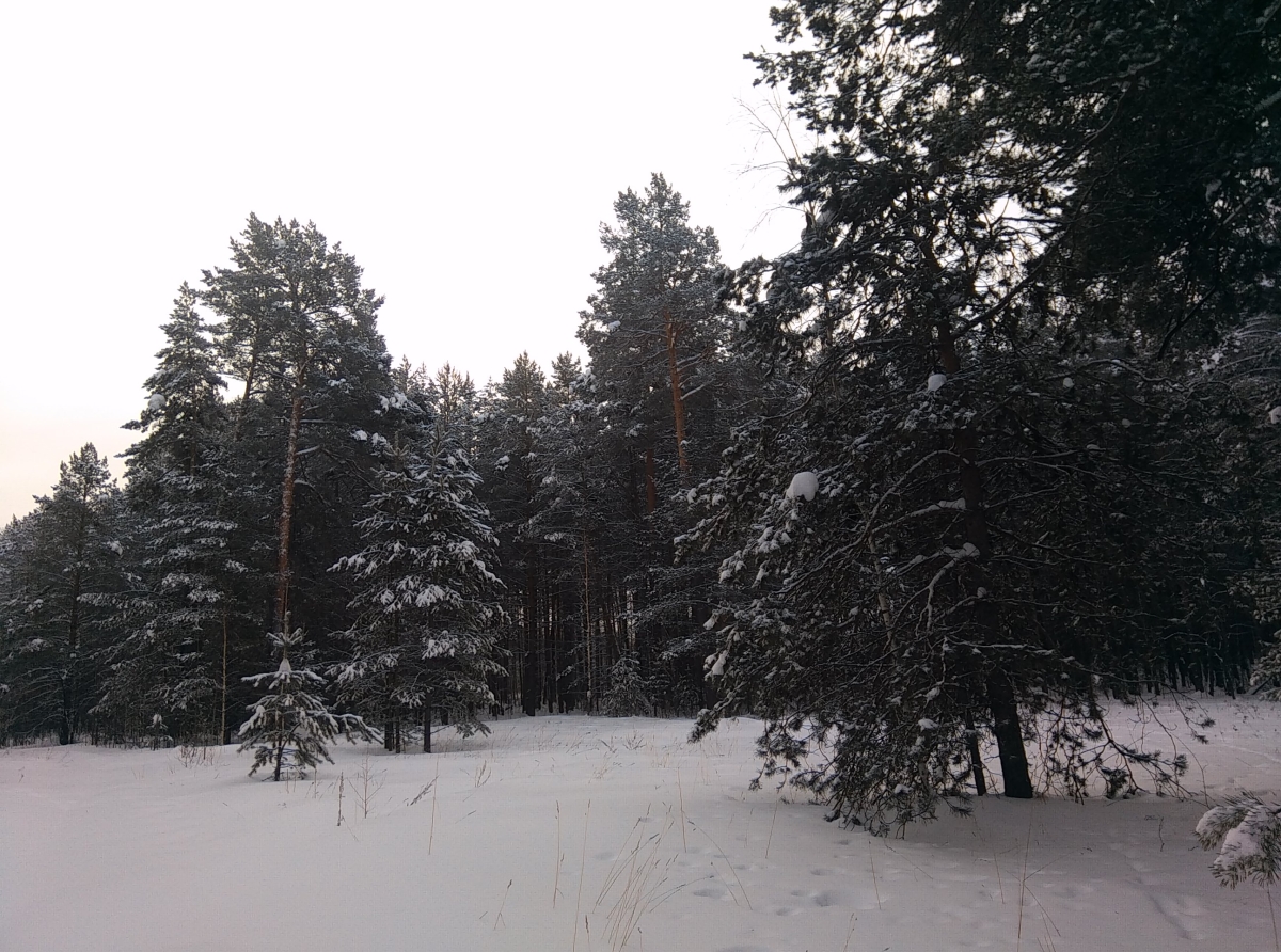 Фото: Василий Ергашев