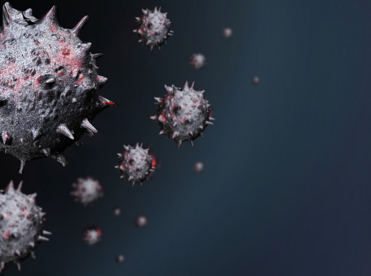 Фото с сайта https://pixabay. В числе заболевших в субботу и воскресенье 21 ребенок 