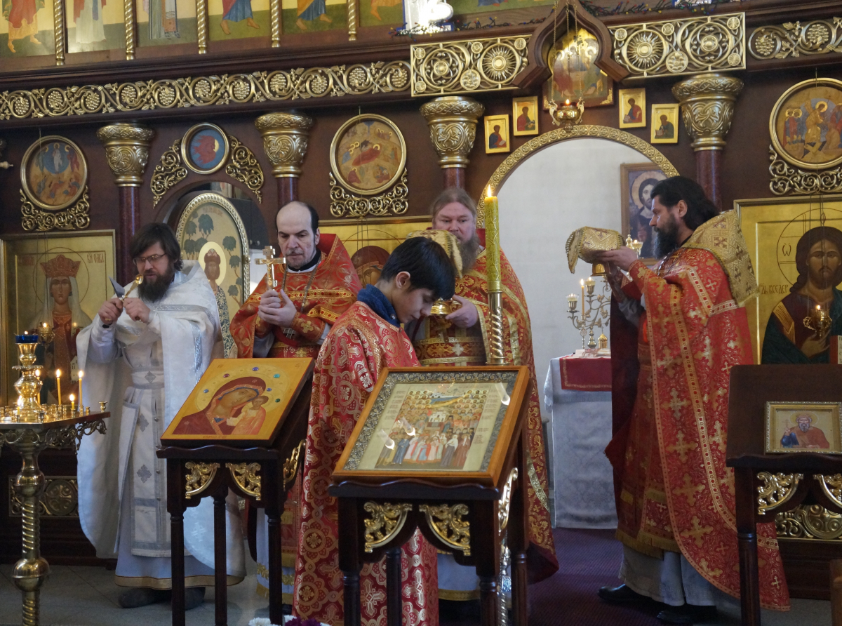 Фото: Светлана Костоусова 