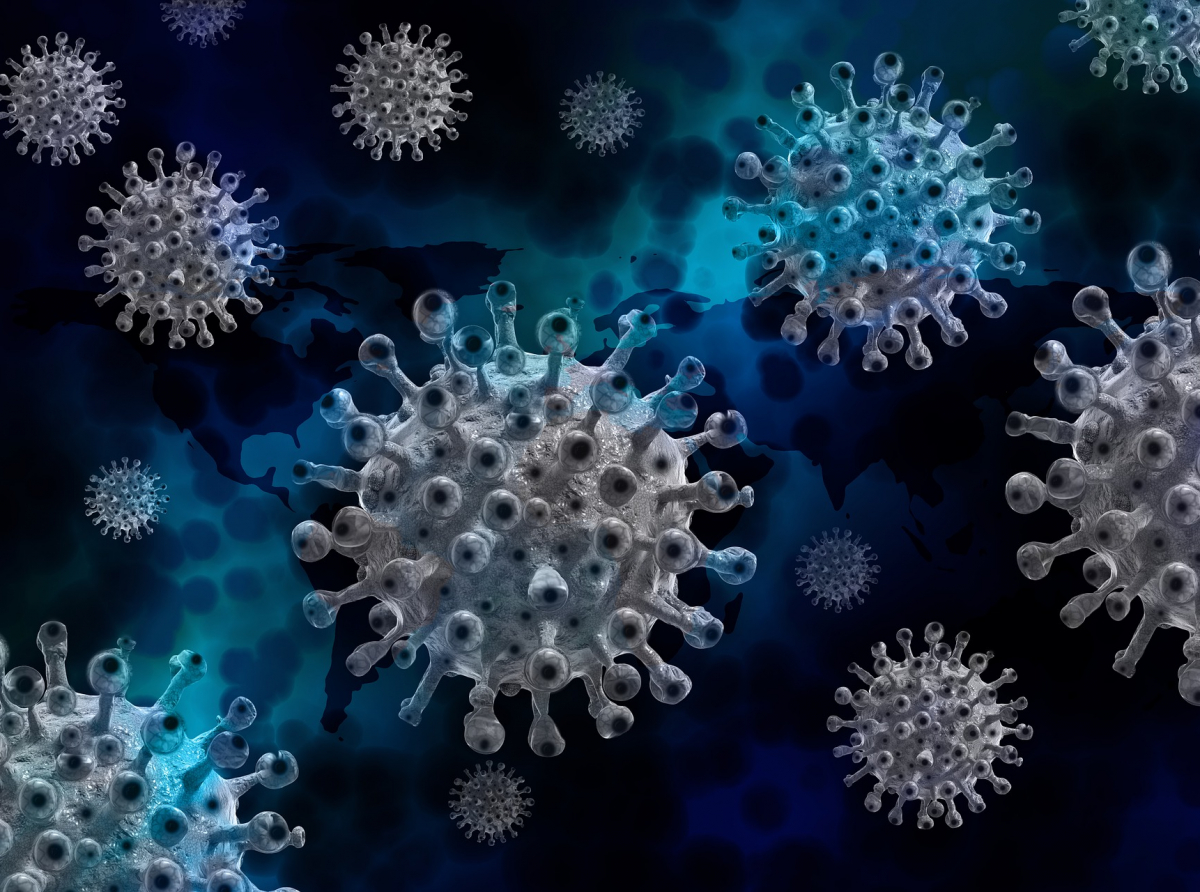 Фото с сайта https://pixabay. Кажется, ковид пошел на спад