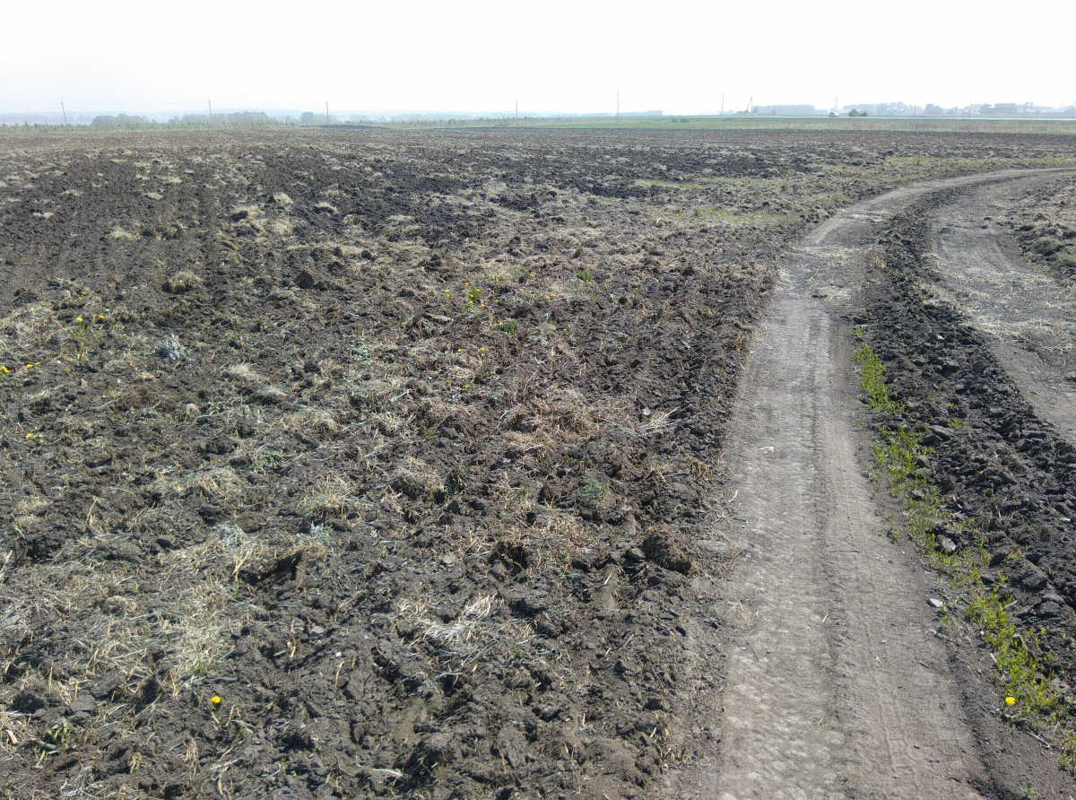 Фото из архива редакции. Распаханные и засеянные поля, пасущиеся на лугах многочисленные стада КРС и МРС и ожившее сельское хозяйство - такой многие артемовцы хотят видеть свою малую родину.