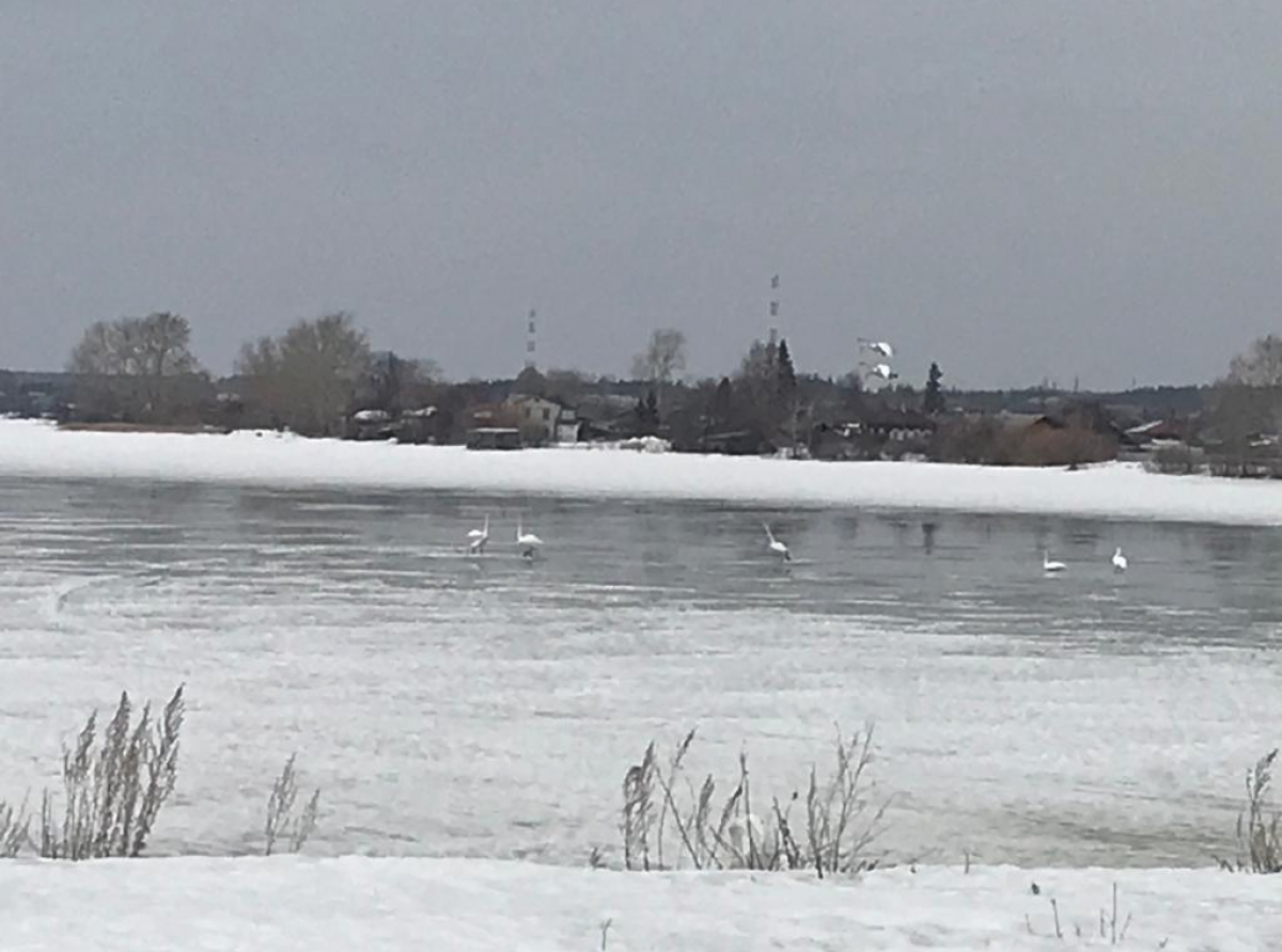 Фото: Читатель "АР"