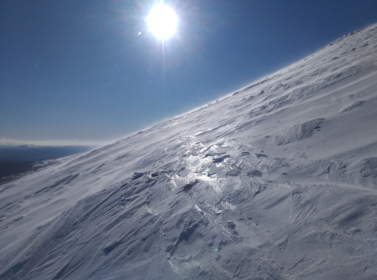 Фото: Алексей Рожков