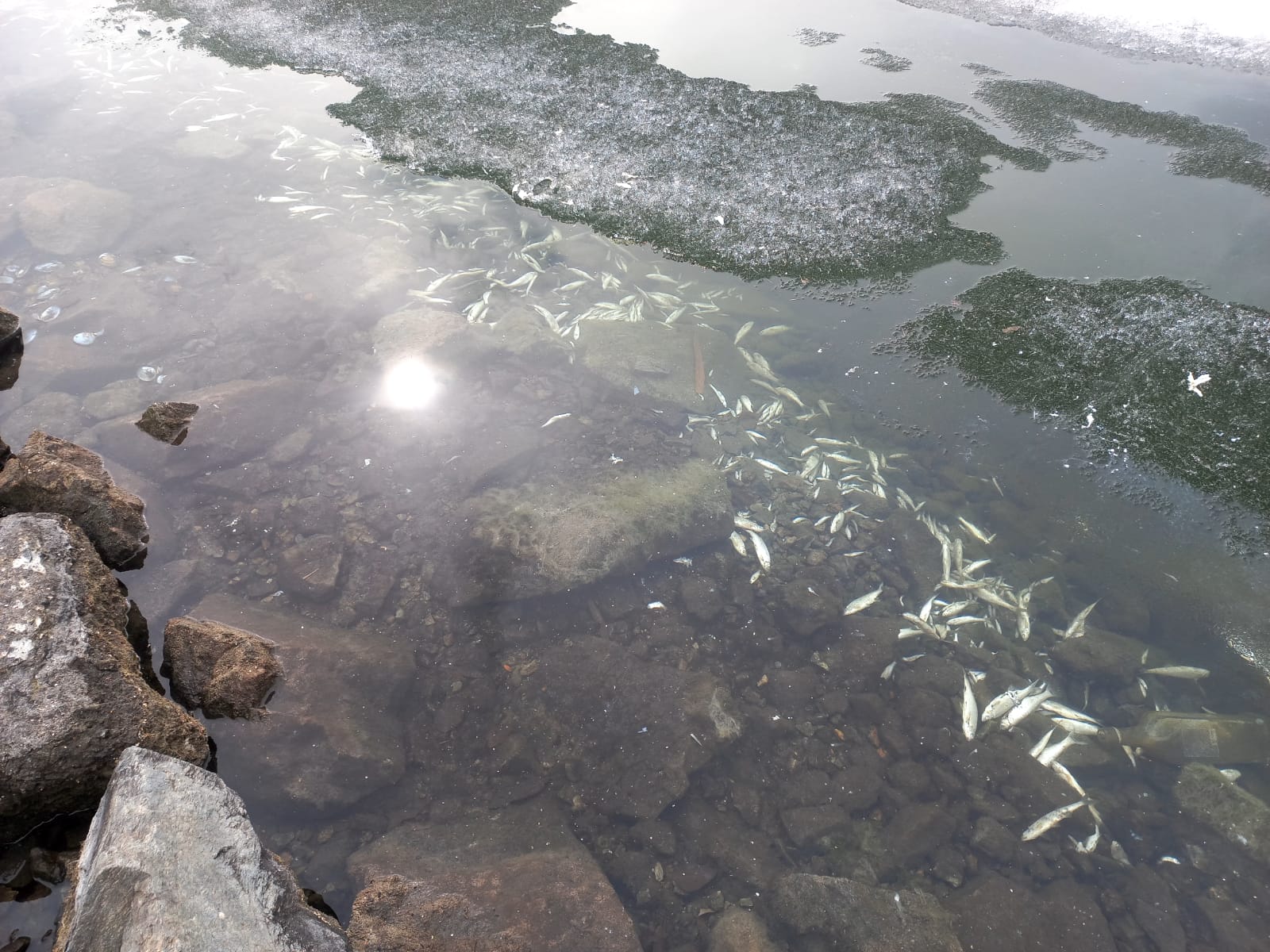 Экологическое бедствие районного масштаба