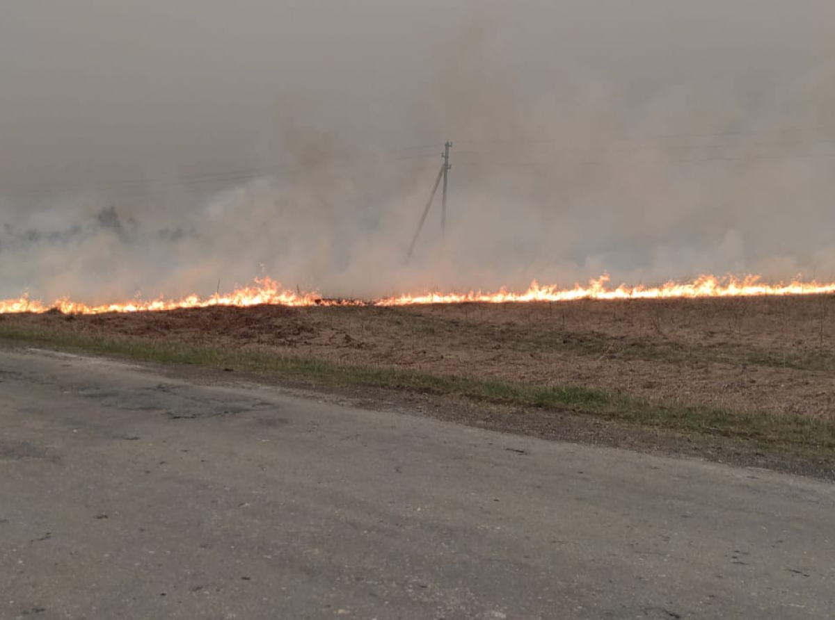 Фото: читатель "АР". Сухая трава вспыхивает моментально