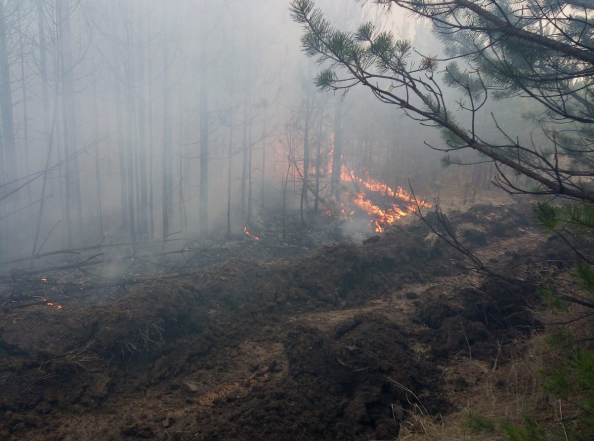 Фото предоставил А. Соколов. 54 пожарно–спасательный отряд обращается к жителям с просьбой быть предельно острожными, внимательными и соблюдать необходимые меры пожарной безопасности.