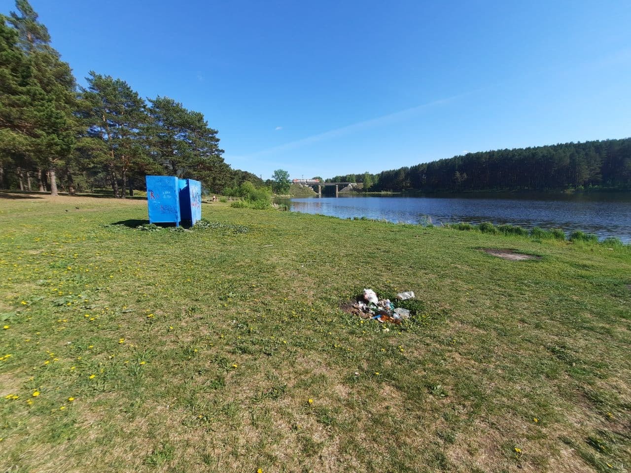 Паразиты и железо