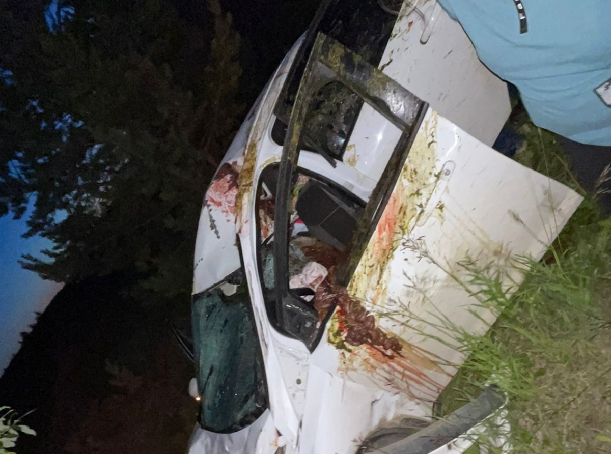 Фото: АООиР