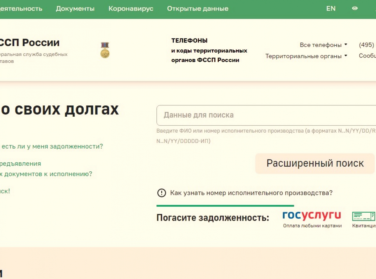 Скрин с сайта ФССП. Проверьте, нет ли у вас долгов, перед отпуском