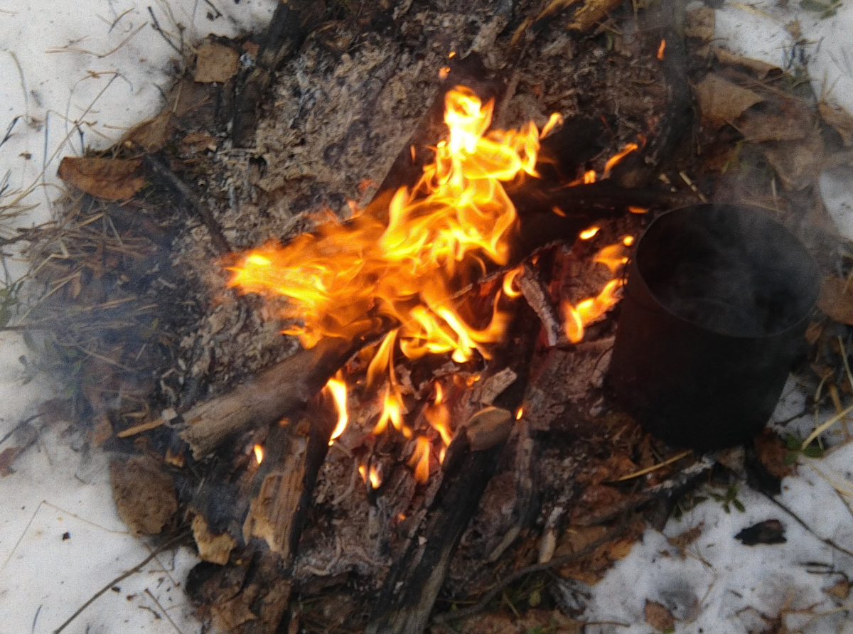 Фото: Василий Ергашев, предоставлено АООиР