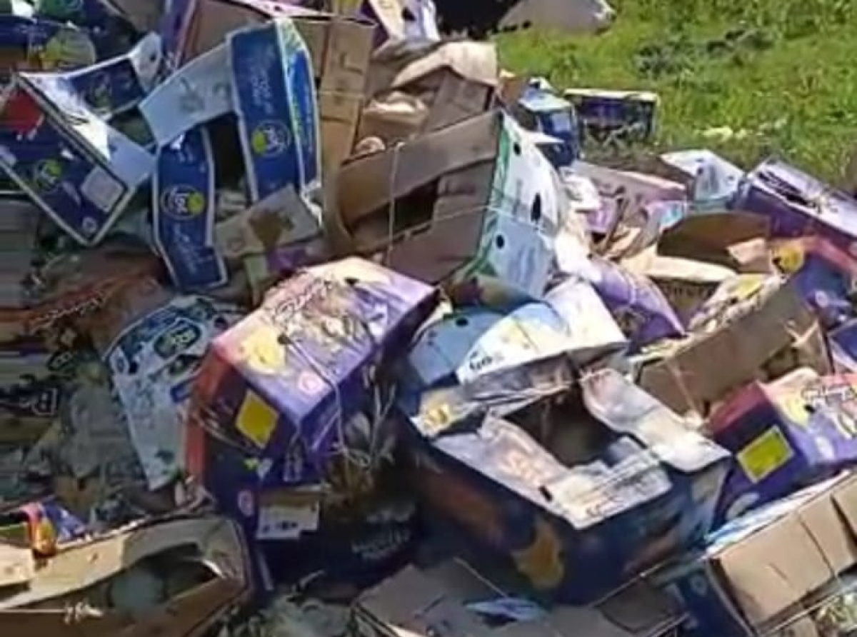 Скриншот с видео. Видео предоставлено читателем "АР"