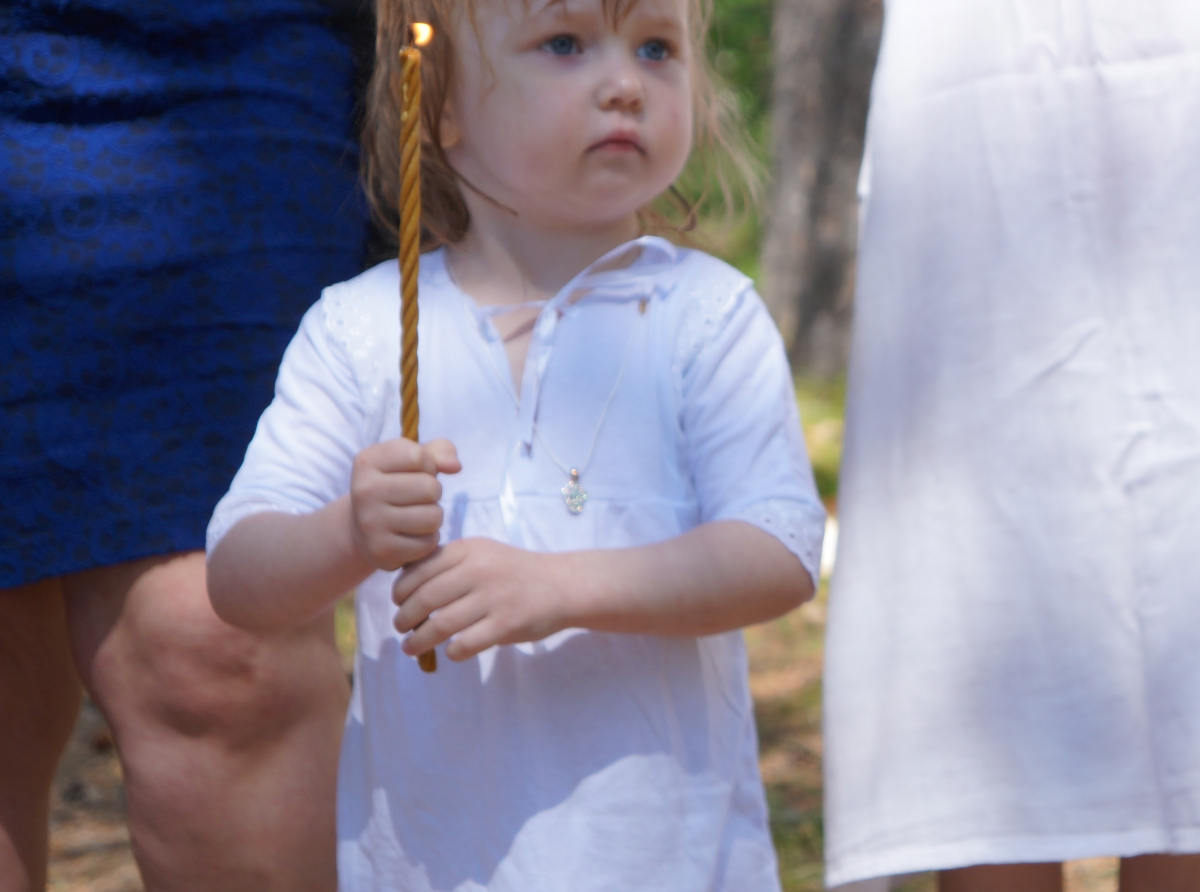 Фото: Светлана Костоусова 