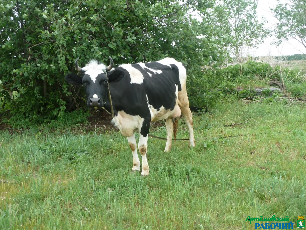 «Школа фермера» ждет новичков и профессионалов