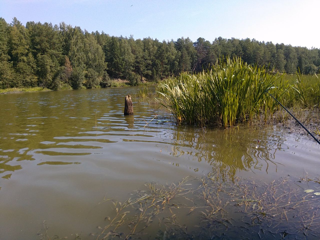 Артемовские охотники открыли сезон