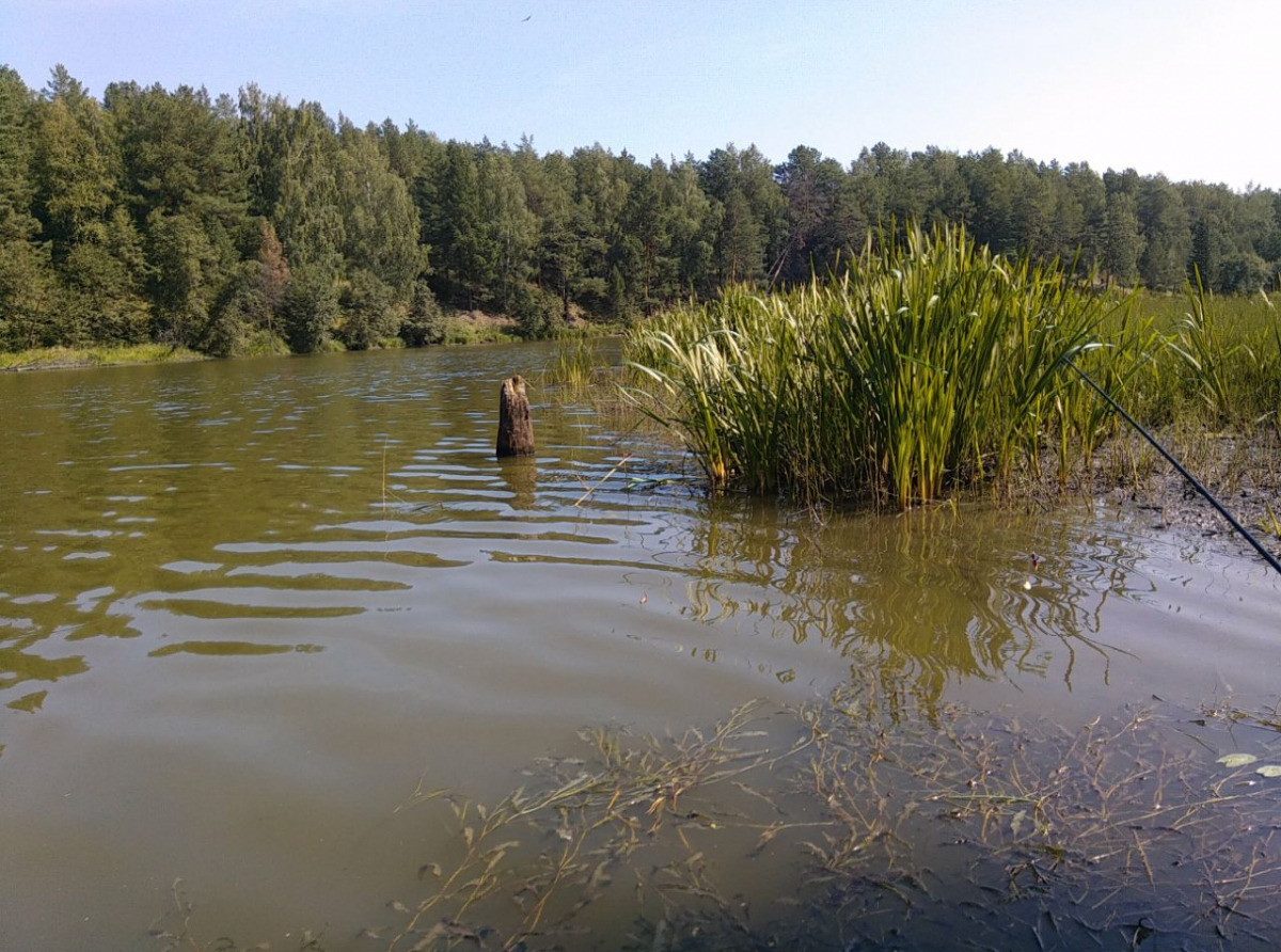 Фото: Василий Ергашев.