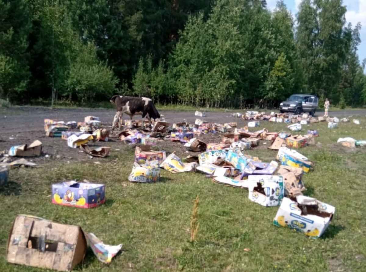 Фото: читатель "АР"