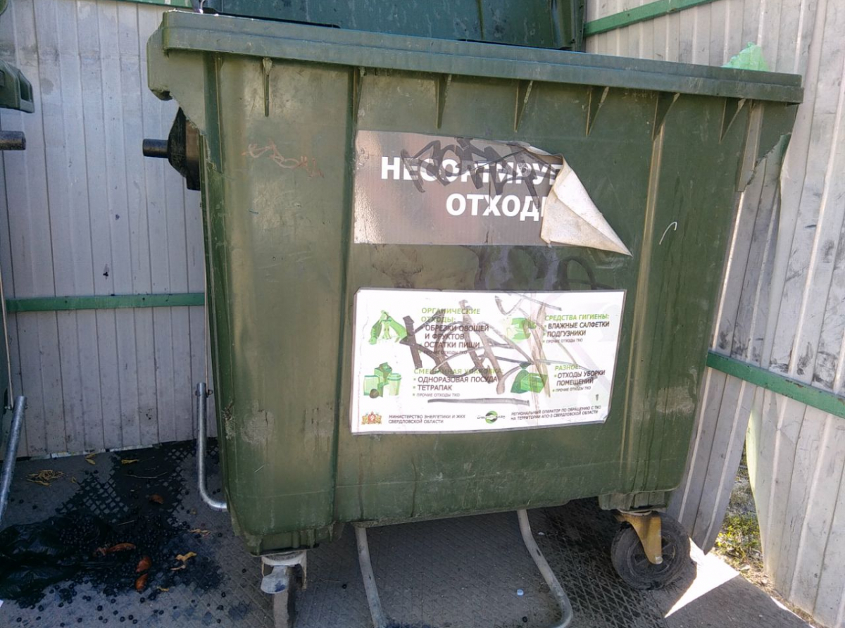 Фото: Василий Ергашев. Данные отходы нельзя выбрасывать в мусорные баки