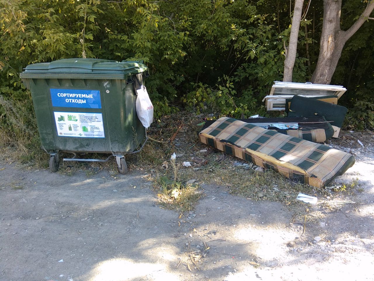 Артемовцы проведут осенний экологический субботник