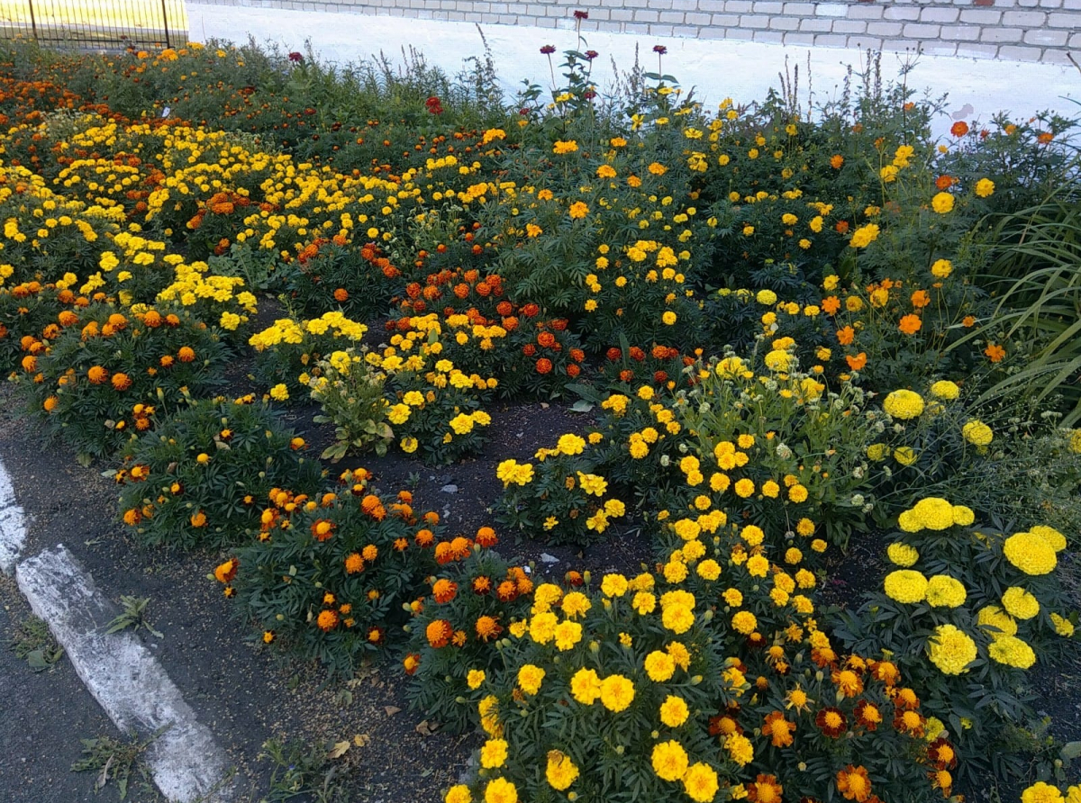 Фото: архив "АР"