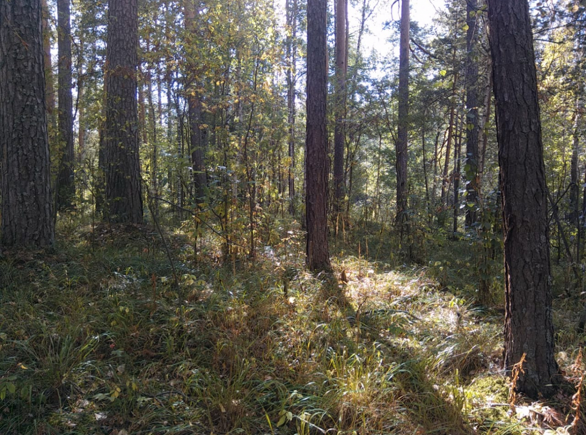 Фото: Василий Ергашев.