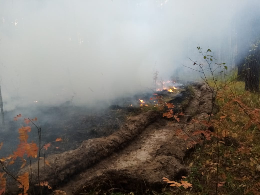 В артемовских лесах борются с огнем