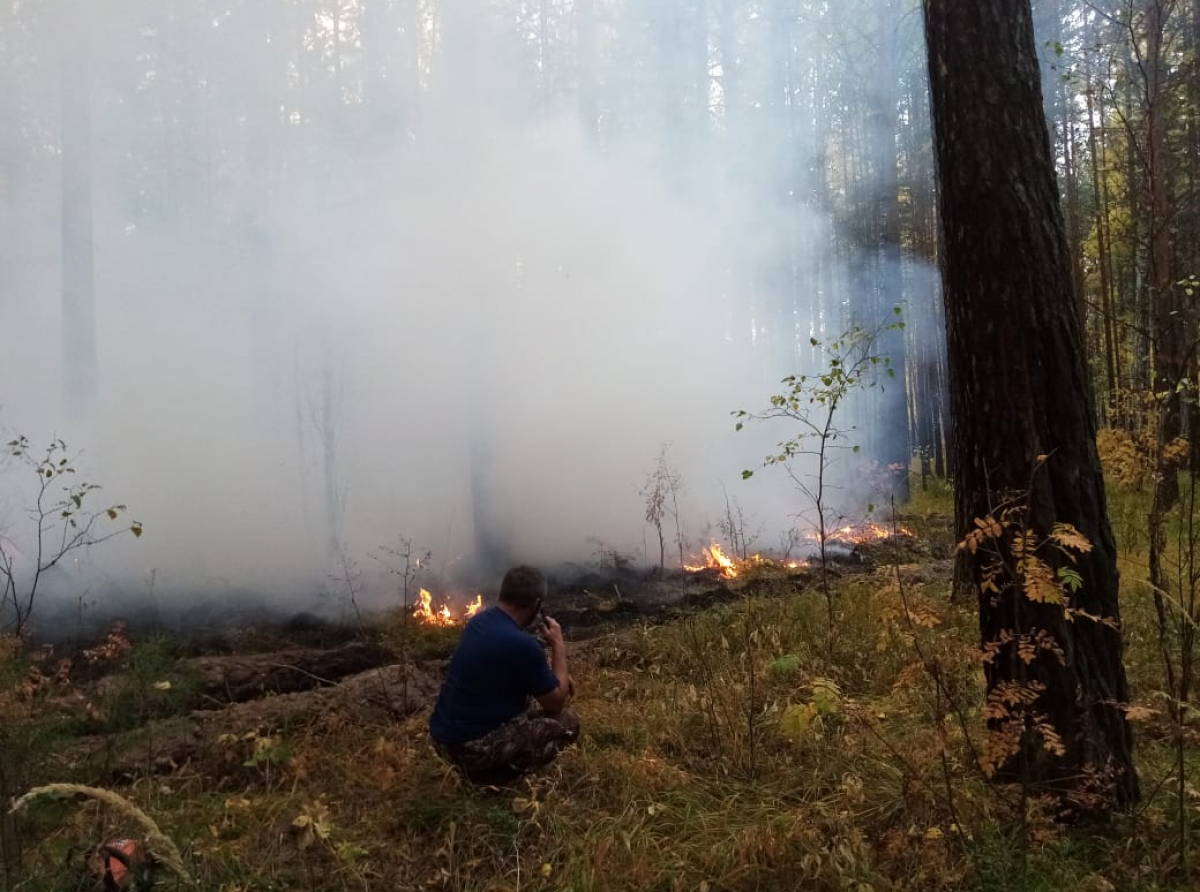 Фото предоставил А. Соколов. 
