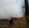 Экстренное предупреждение: в лесах – высокая пожарная опасность