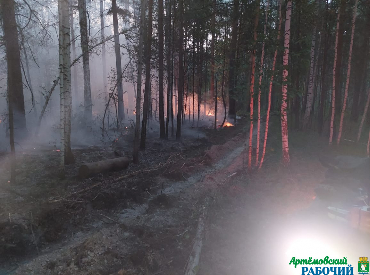 Фото: архив "АР". Торфяники могут гореть долго