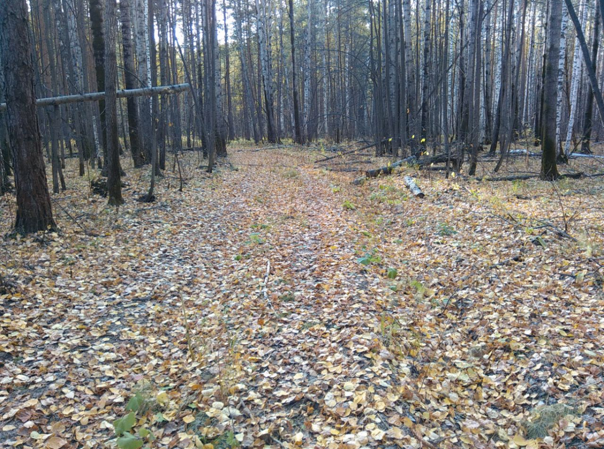 Фото: Василий Ергашев.