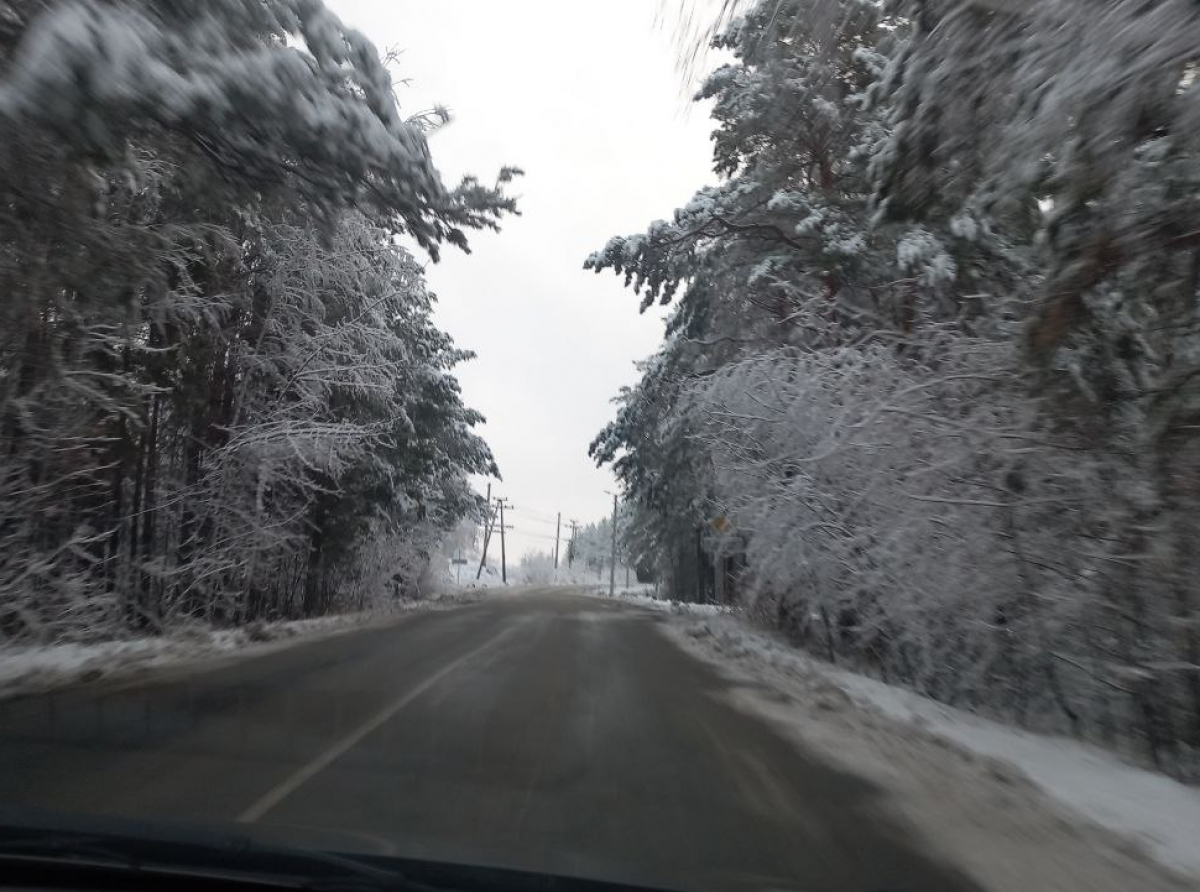 Фото: Галина Таскина