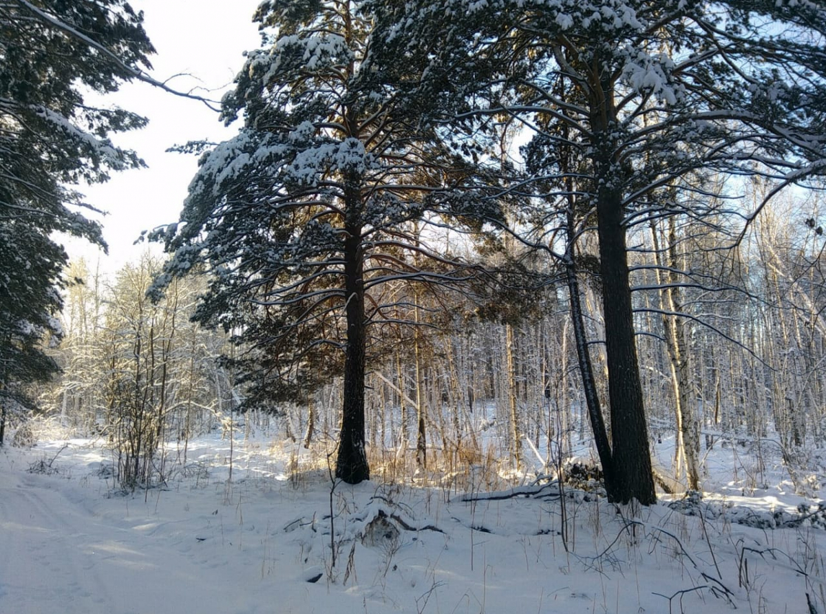 Фото: Василий Ергашев.