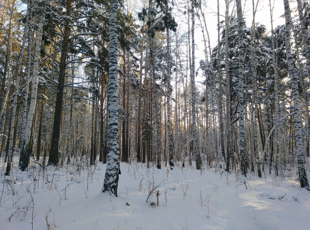 Фото: Василий Ергашев.