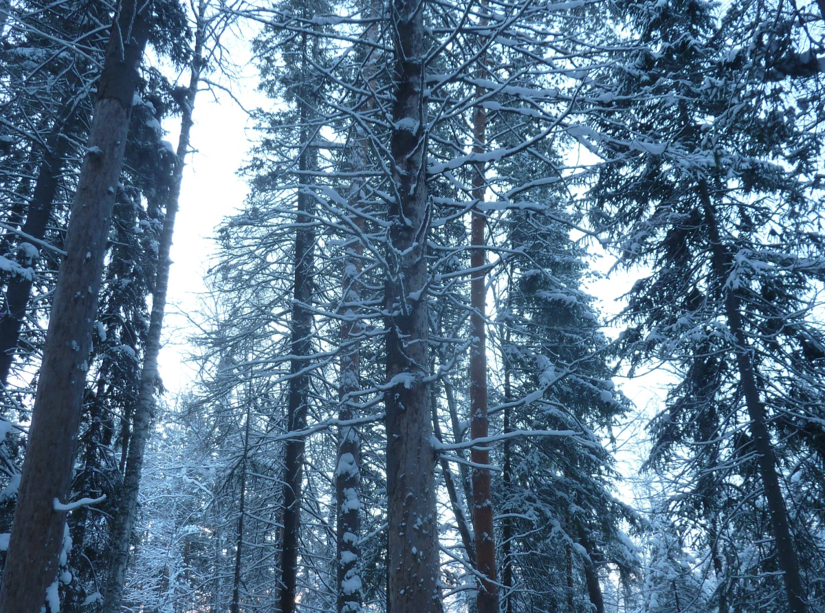 Фото: Василий Ергашев.