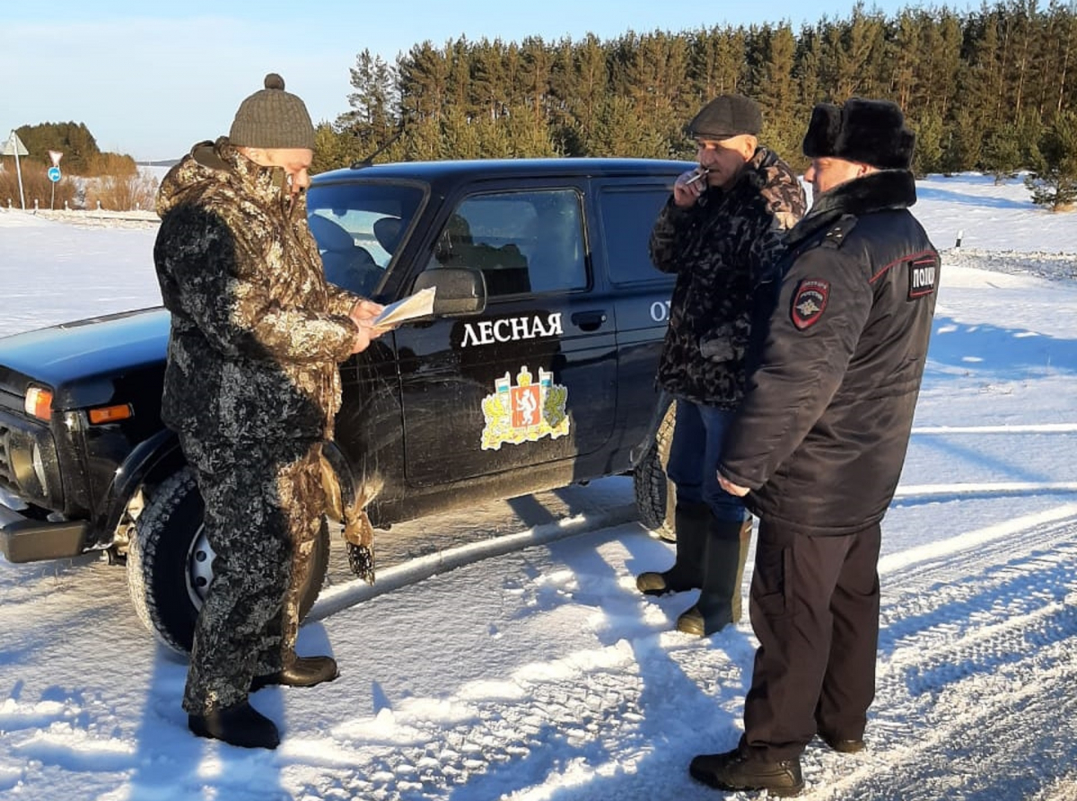 Фото ДИП Свердловской области. Специалисты лесоохраны пресекают незаконные рубки. 