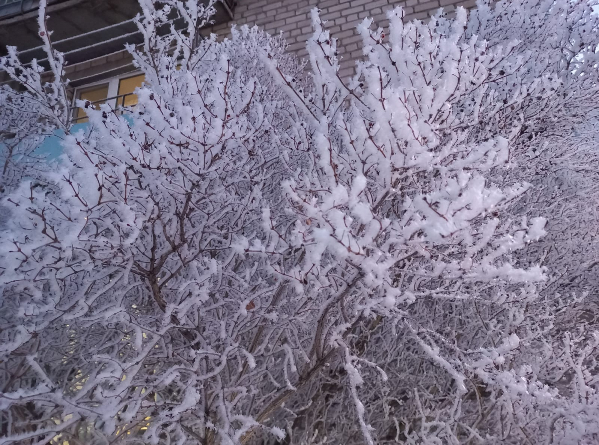 Фото: Василий Ергашев.
