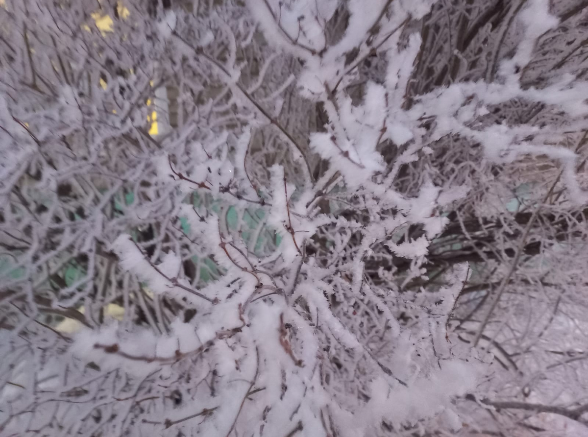 Фото: Василий Ергашев.