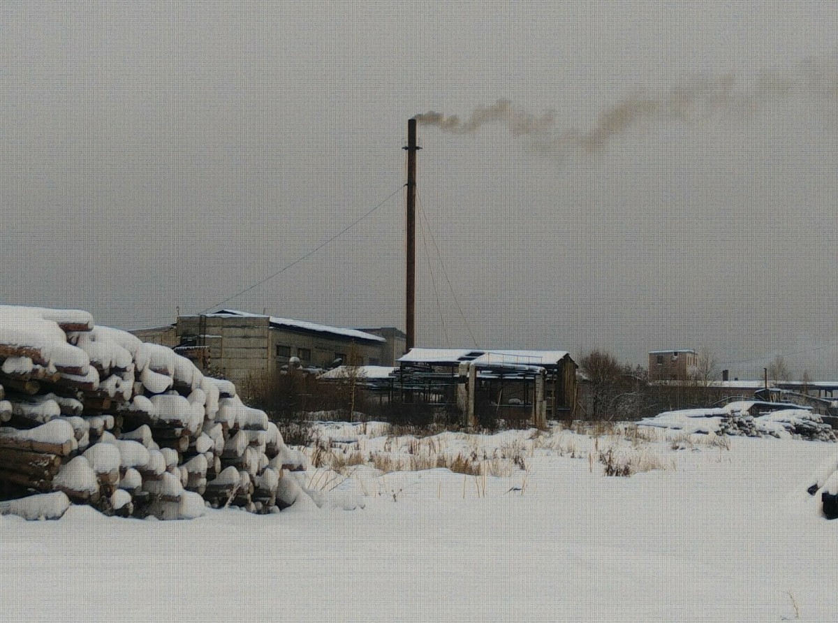 Фото Василия Ергашева. 
