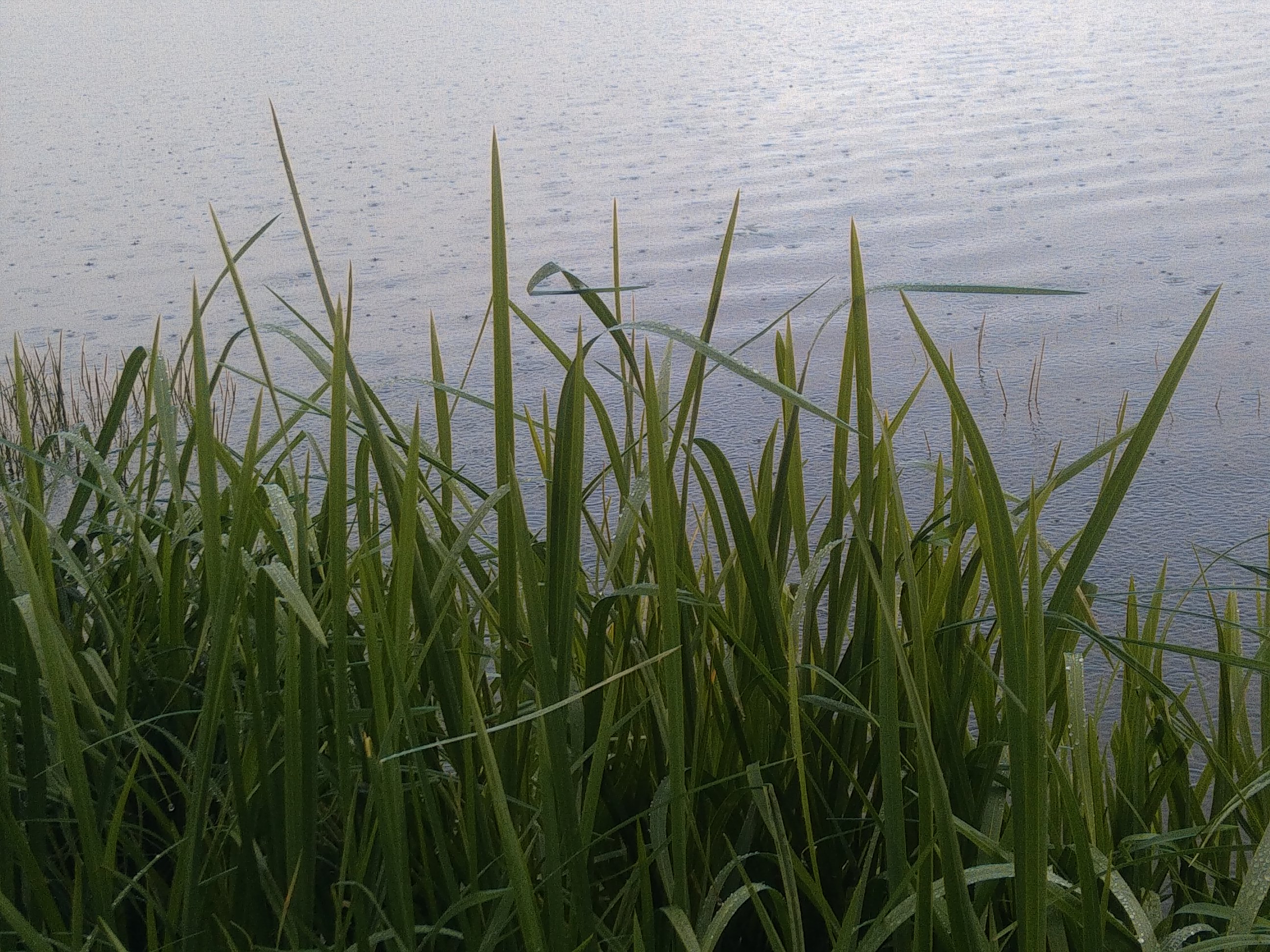 Артемовские охотники могут готовиться к весенней охоте