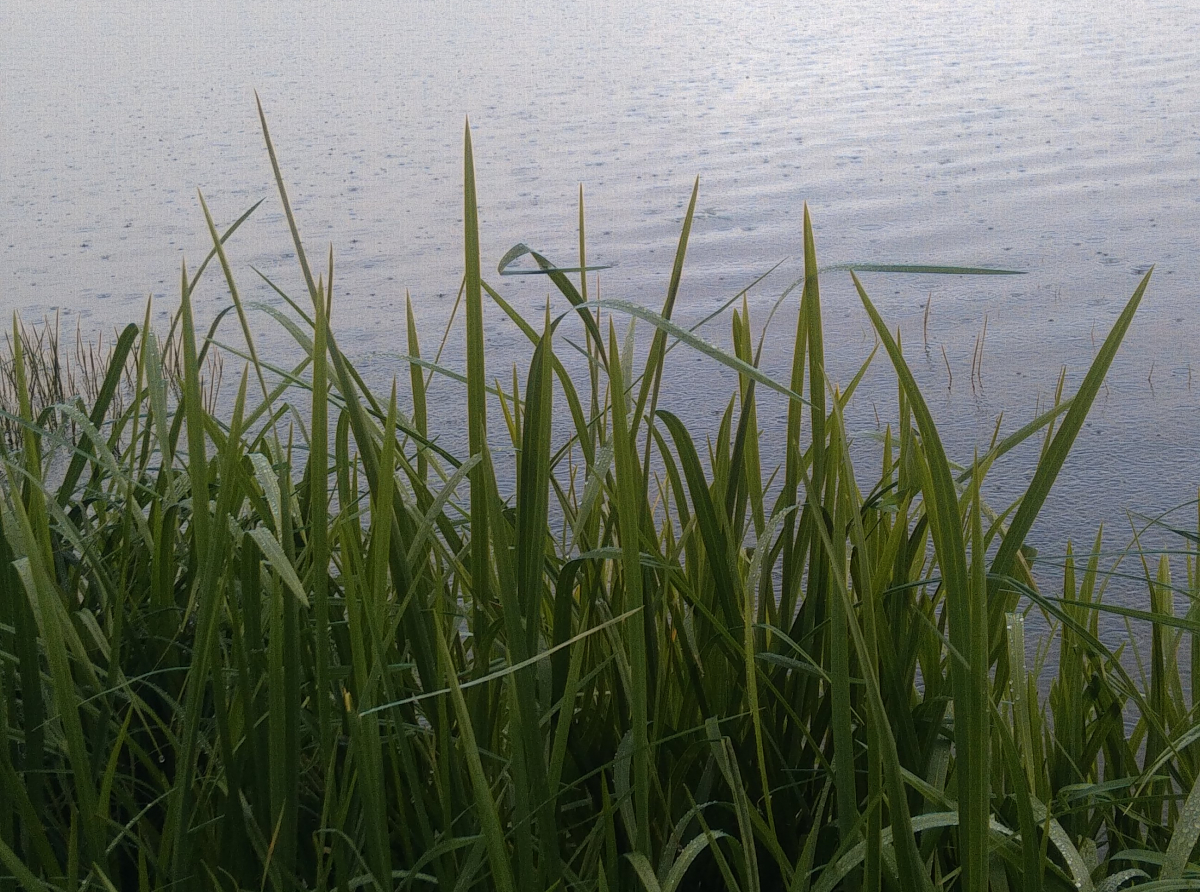 Фото: Василий Ергашев.