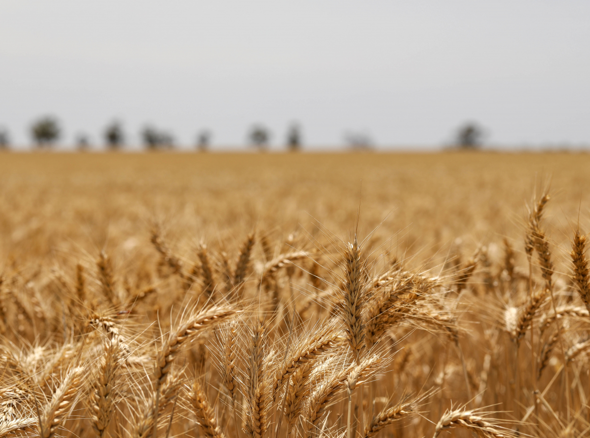 Фото с сайта https://ru.freepik.com/