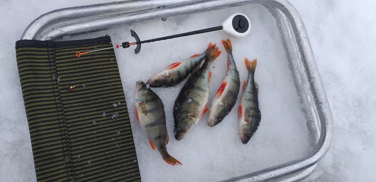 Артемовские рыболовы выйдут на соревнования