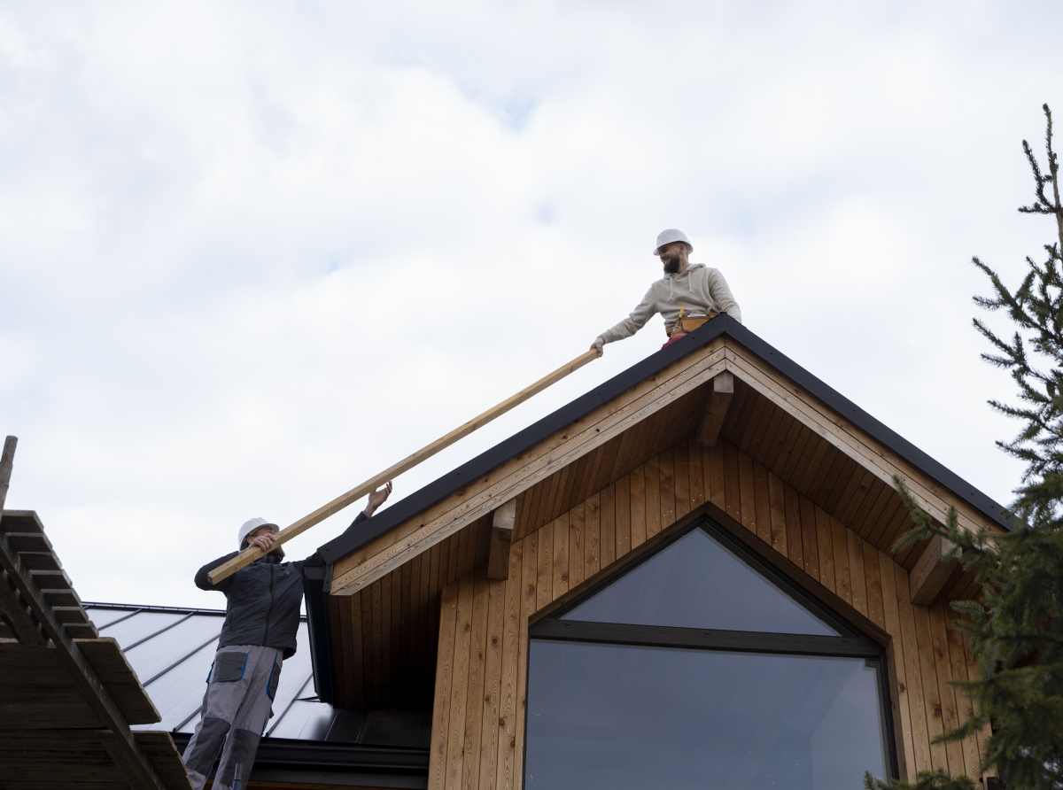 Фото с сайта https://ru.freepik.com/