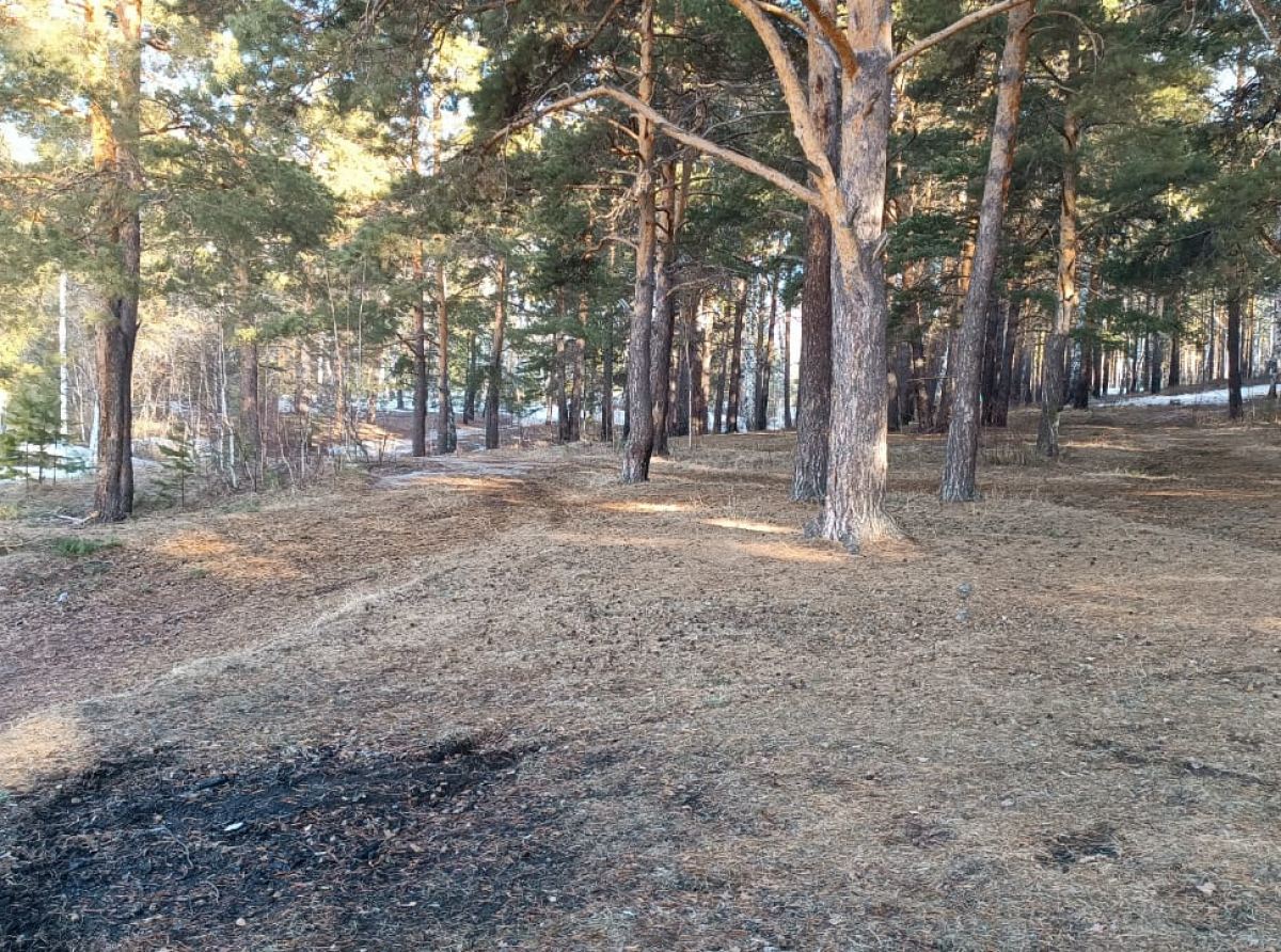 Фото: Василий Ергашев. Снег в этом году сошел очень быстро