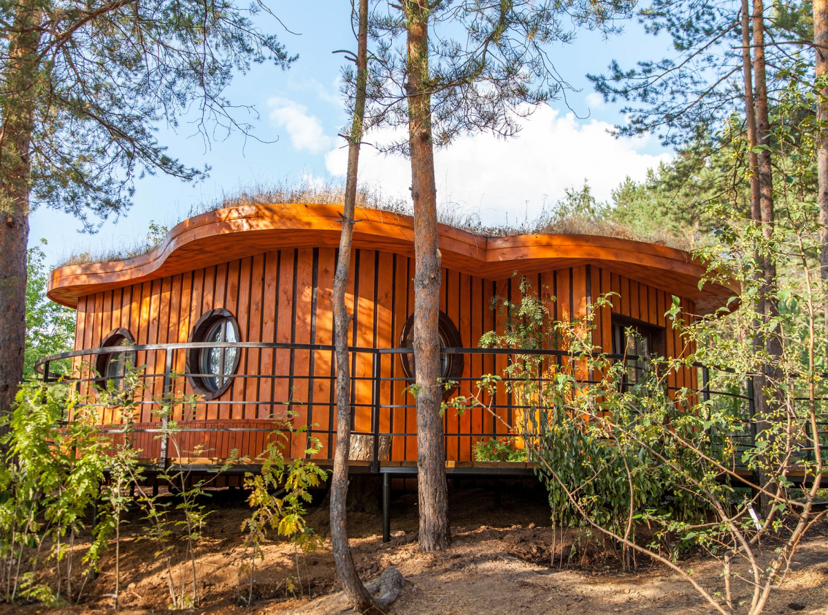 Фото ДИП Свердловской области.