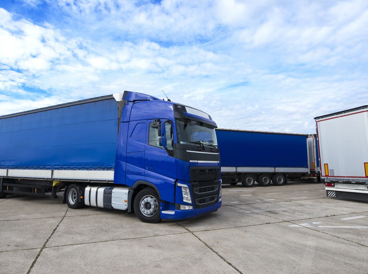 Фото с сайта https://ru.freepik.com/ Профилактическое мероприятия продлится до пятницы